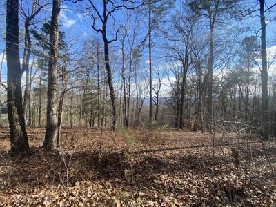 /international/us/00-bluff-view-558-drive-w-dunlap-tn-110095832407/