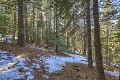 /international/us/1607-southern-pines-drive-south-lake-tahoe-ca-110097732290/