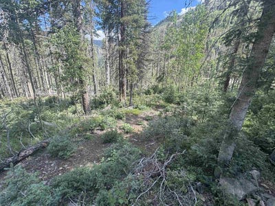 /international/us/2-lynx-drive-taos-ski-valley-nm-110109627180/