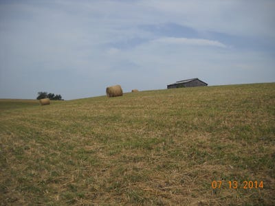 /international/us/0-brooksville-powersville-road-brooksville-ky-110101342680/?lang=zh-tw