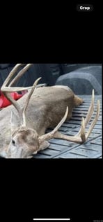 /international/us/bradley-351-johnsville-ar-110102658458/