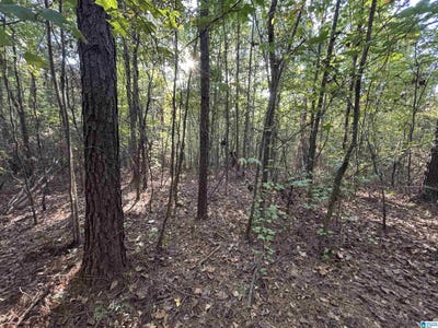 /international/us/shoal-creek-road-lot-14-acres-ashville-al-110120512843/