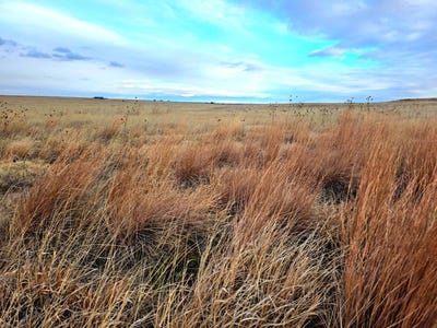 /international/us/tbd-road-1w-bushnell-ne-110104535976/