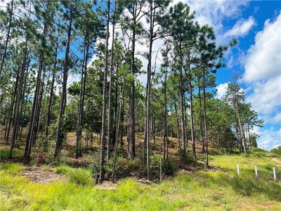 /international/us/state-highway-225-bay-minette-al-110097687520/