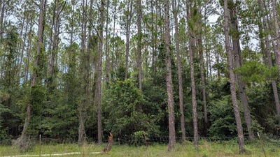 /international/us/tbd-se-3rd-place-gainesville-fl-110101176421/?lang=zh-tw