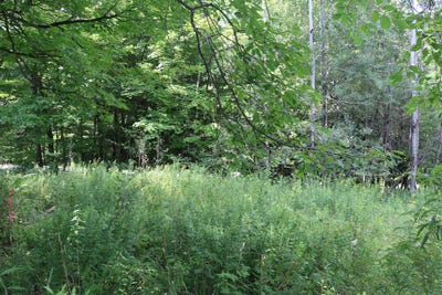 /international/us/223-deming-road-enosburg-vt-110097531754/