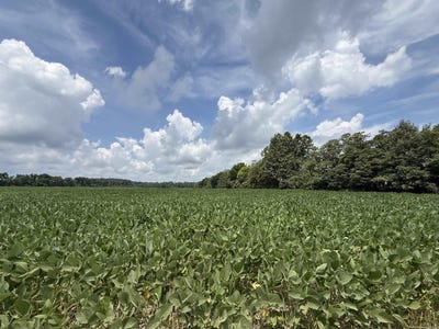 /international/us/copeland-rd-crawfordsville-ar-110100561589/