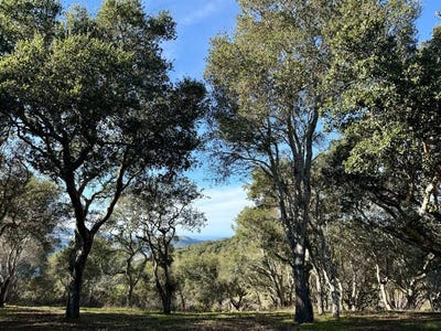 /international/us/70-chamisal-pass-carmel-valley-ca-110105981947/