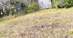 /international/us/419-state-road-207-east-palatka-fl-110104194095/