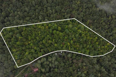 /international/us/redwood-lane-ellijay-ga-110110367734/