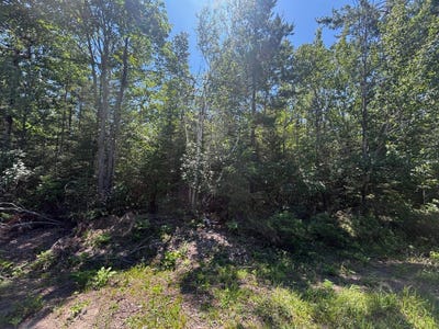 /international/us/nhn-pineview-drive-presque-isle-mi-110101056668/?lang=zh-tw