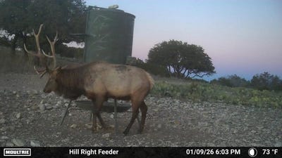 /international/us/sd-20120-other-rocksprings-tx-110105077956/
