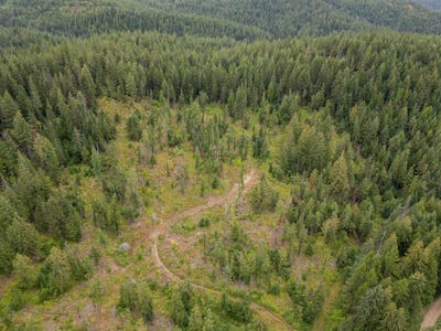 /international/us/n-deer-ln-mead-wa-110101681747/