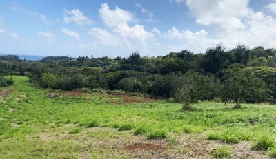 /international/us/laipo-rd-kapaa-hi-110108365168/