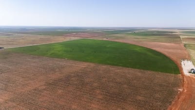/international/us/385-south-us-385-seagraves-tx-110101517111/