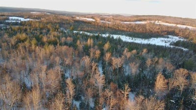/international/us/252-blaine-avenue-guilford-me-110096219215/?lang=zh-tw