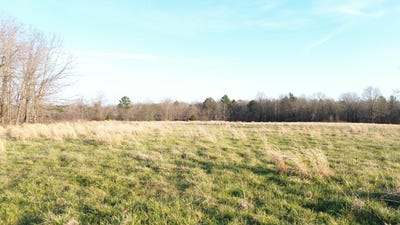 /international/us/tract-1-county-road-ww-a-summersville-mo-110108228734/