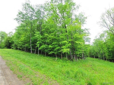 /international/us/0-cr-24-lot-18-grove-ny-110108794941/