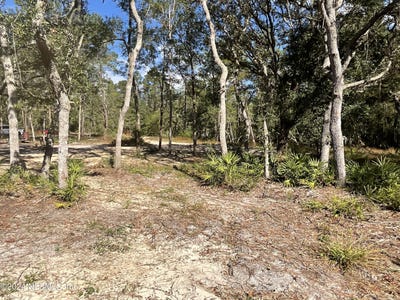 /international/us/101-new-jersey-street-satsuma-fl-110095826418/