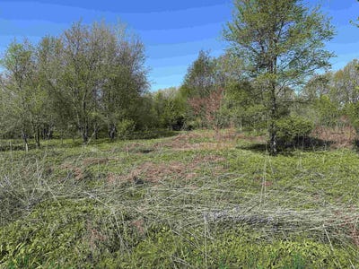 /international/us/0-us-20-highway-new-carlisle-in-110105330378/
