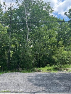 /international/us/l41-n-mansion-road-duanesburg-ny-110100684282/?lang=zh-tw
