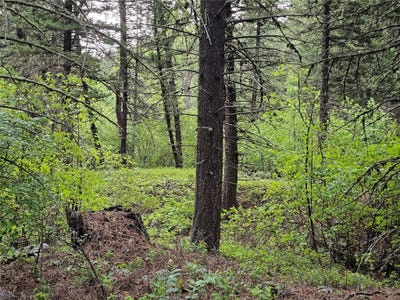 /international/us/nhn-upper-sawmill-creek-lane-cascade-mt-110108769690/
