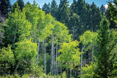/international/us/livingston-peak-road-livingston-mt-110100999337/?lang=zh-cn