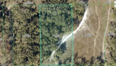 /international/us/33099-coral-rock-drive-webster-fl-110119960759/