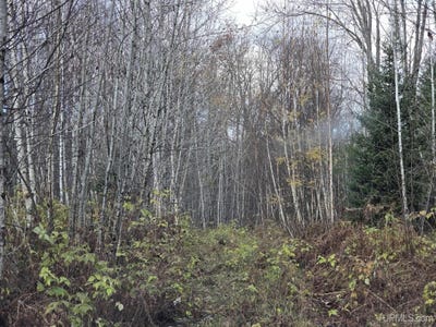 /international/us/fence-river-road-republic-mi-110092096915/