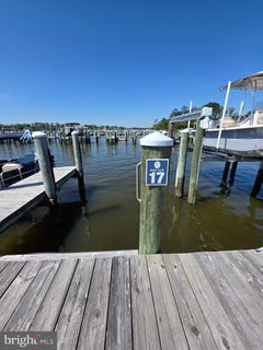 /international/us/31250-anchor-watch-loop-17-dagsboro-de-110107889507/
