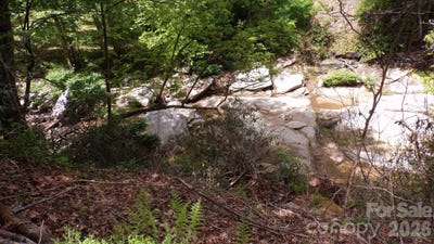 /international/us/216-paradise-road-hendersonville-nc-110107938630/