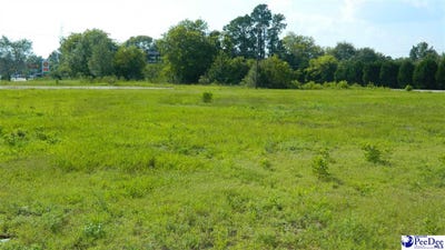 /international/us/4603-w-highway-76-marion-sc-110079118352/?lang=zh-tw