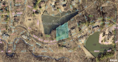 /international/us/may-apple-lane-carbondale-il-110107156587/
