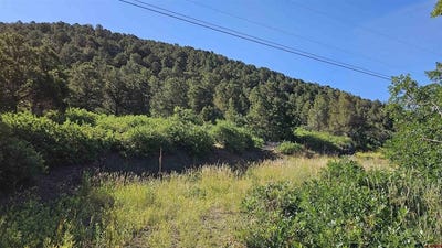 /international/us/tbd-ward-creek-road-cedaredge-co-110100589036/?lang=zh-tw