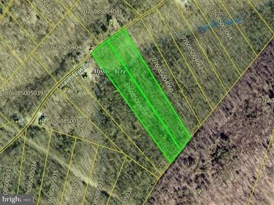 /international/us/alpine-way-lot-58-59-mount-jackson-va-110107390408/