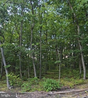 /international/us/cumberland-highway-newburg-pa-110110241527/