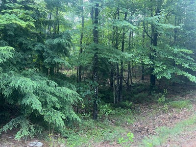 /international/us/intervale-road-lot-1-bethel-me-110100615812/
