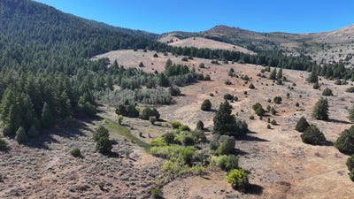 /international/us/1200-s-lands-creek-rd-albion-id-110095348603/?lang=zh-cn