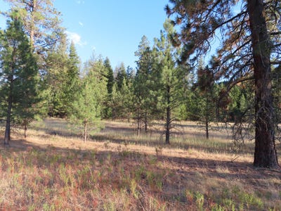 /international/us/111-toroda-creek-rd-curlew-wa-110106433826/