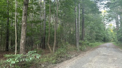 /international/us/pearl-acres-lane-huger-sc-110092686527/