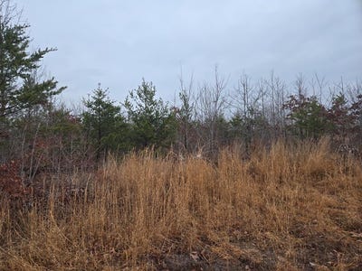 /international/us/612-leigh-mountain-rd-lot-6-green-bay-va-110109506453/