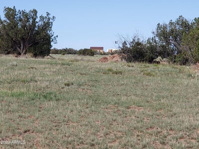 /international/us/00-n-6707-st-johns-az-110092022275/