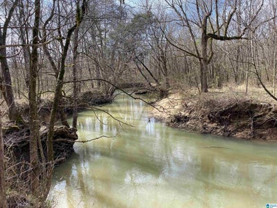 /international/us/0-highway-231-ashville-al-110101140728/?lang=zh-tw
