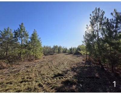 /international/us/0-chipola-rd-slocomb-al-110108474996/