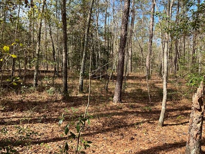/international/us/6005-old-salkehatchie-rd-early-branch-sc-110100982767/