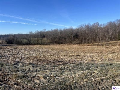 /international/us/7611-salt-river-road-cecilia-ky-110105065210/