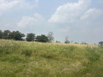 /international/us/n9013-wildflower-lane-brillion-wi-110101423754/