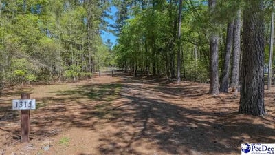 /international/us/1315-hill-harrell-road-effingham-sc-110091218898/