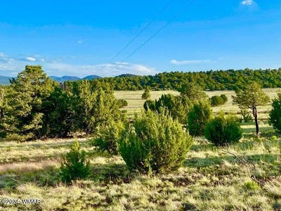/international/us/0-n3208-lot-d-9-81-acres-vernon-az-110092960711/