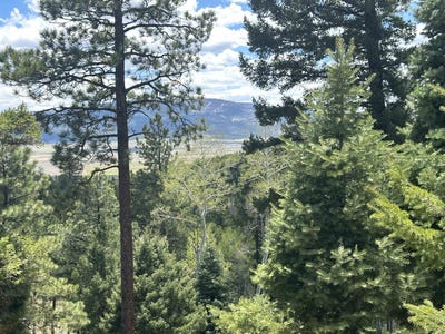 /international/us/pam-coleman-drive-lot-91ab-angel-fire-nm-110092094694/